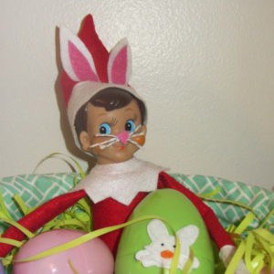 elf on the shelf easter bunny 