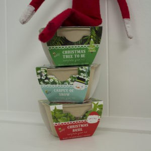 elf on the shelf with christmas plants 