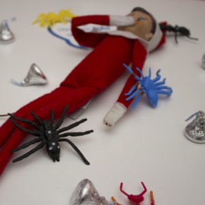 elf on the shelf with toy bugs
