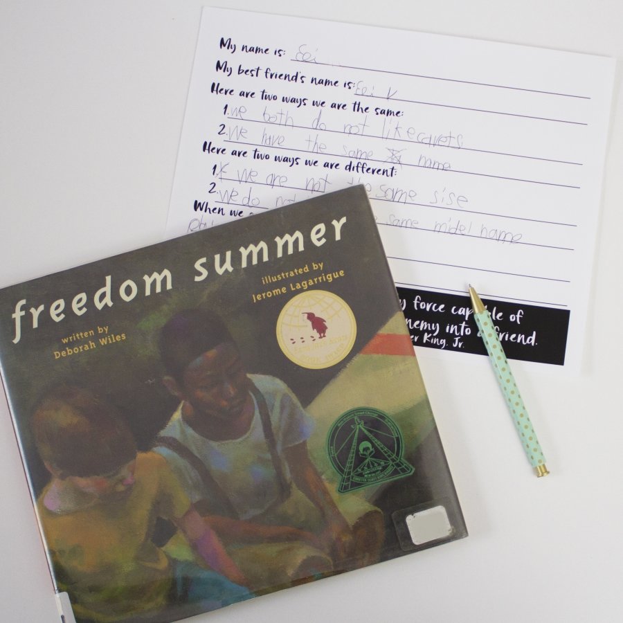 freedom summer book cover