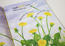 DANDELIONS: STARS IN THE GRASS SPRING BOOKS