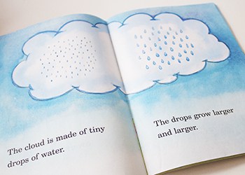 RAIN SPRING BOOKS