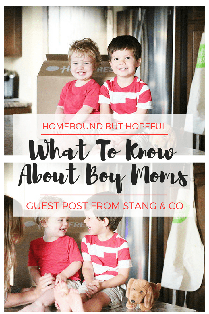 What I Wish Everyone Knew About Boy Moms- A Guest Feature from Mackensey of Stang & Co. Raising boys has it's own challeneges AND benefits... Read all about them here! #guestpost #boymom #momlife