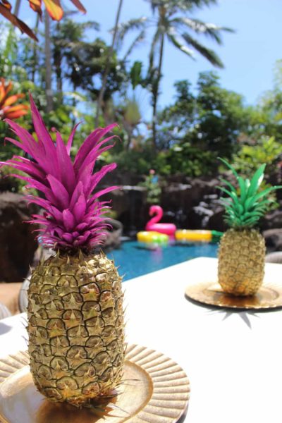 Aloha Botts & Totts | Pineapple Of My Eye Shower | Painted Pineapples