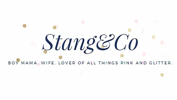 Stang and Co. Feature: Logo 