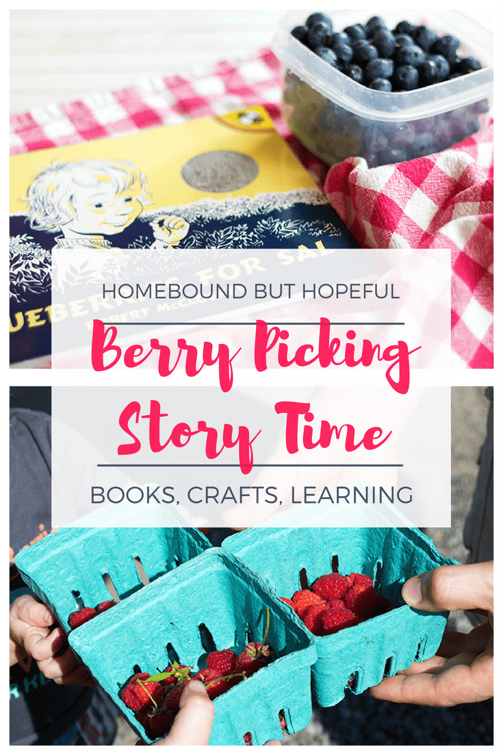 Berry Picking Story Time | Ideas for books, crafts, and learning activities to bring kid lit to life. | Blueberries For Sal
