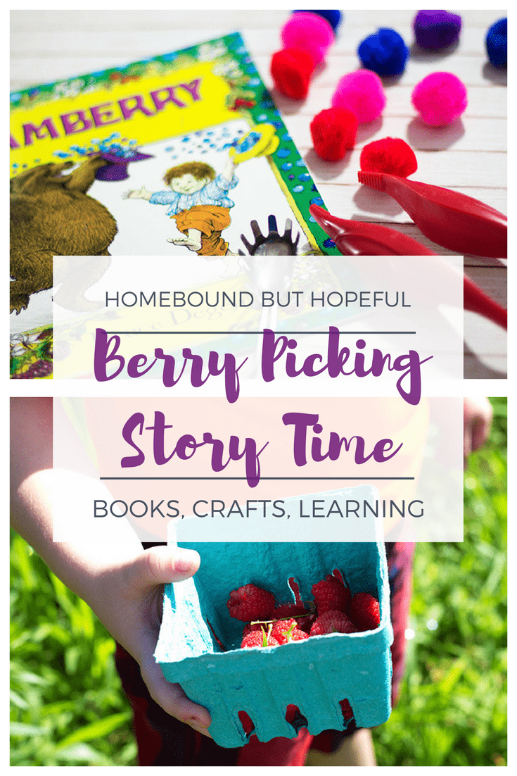 Berry Picking Story Time | Ideas for books, crafts, and learning activities to bring kid lit to life. | Jamberry - Fine Motor Pom Pom Color Sort