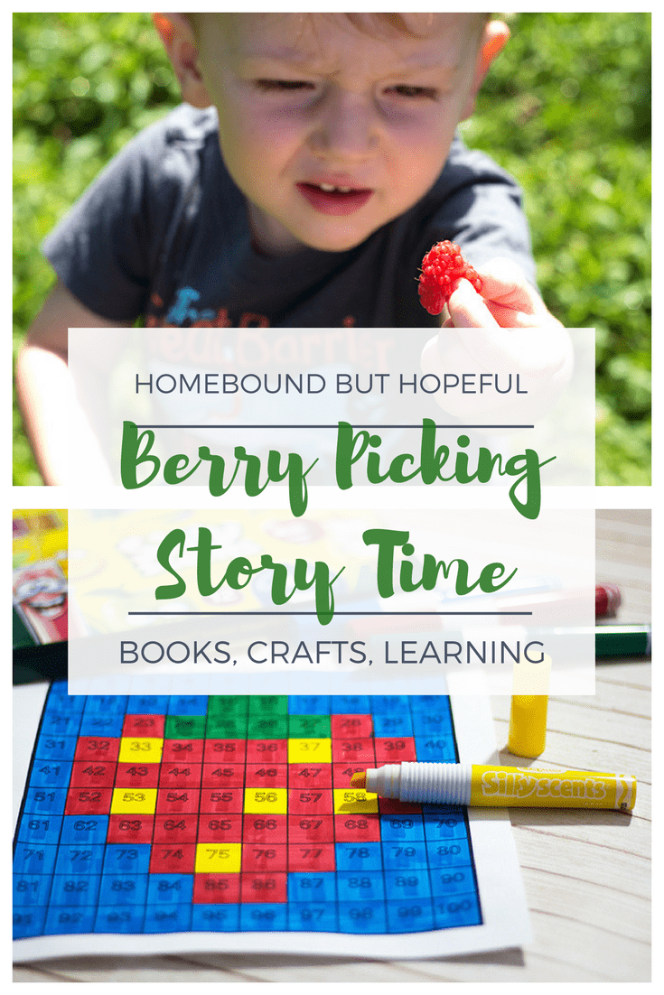Berry Picking Story Time | Ideas for books, crafts, and learning activities to bring kid lit to life. | Blueberries for Sal / Jamberry / A Taste of Blackberries / Stella and the Berry Thief - Color by Number Math 100 Chart