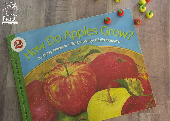 Apple Picking Story Time- How Do Apples Grow?