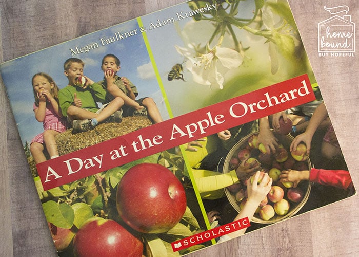 Apple Picking Story Time- A Day at the Apple Orchard