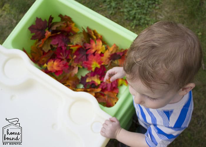 In The Middle Of Fall Sensory Story Time