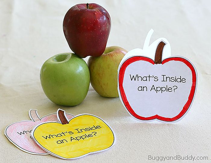Apple Picking Story Time- Buggy And Buddy