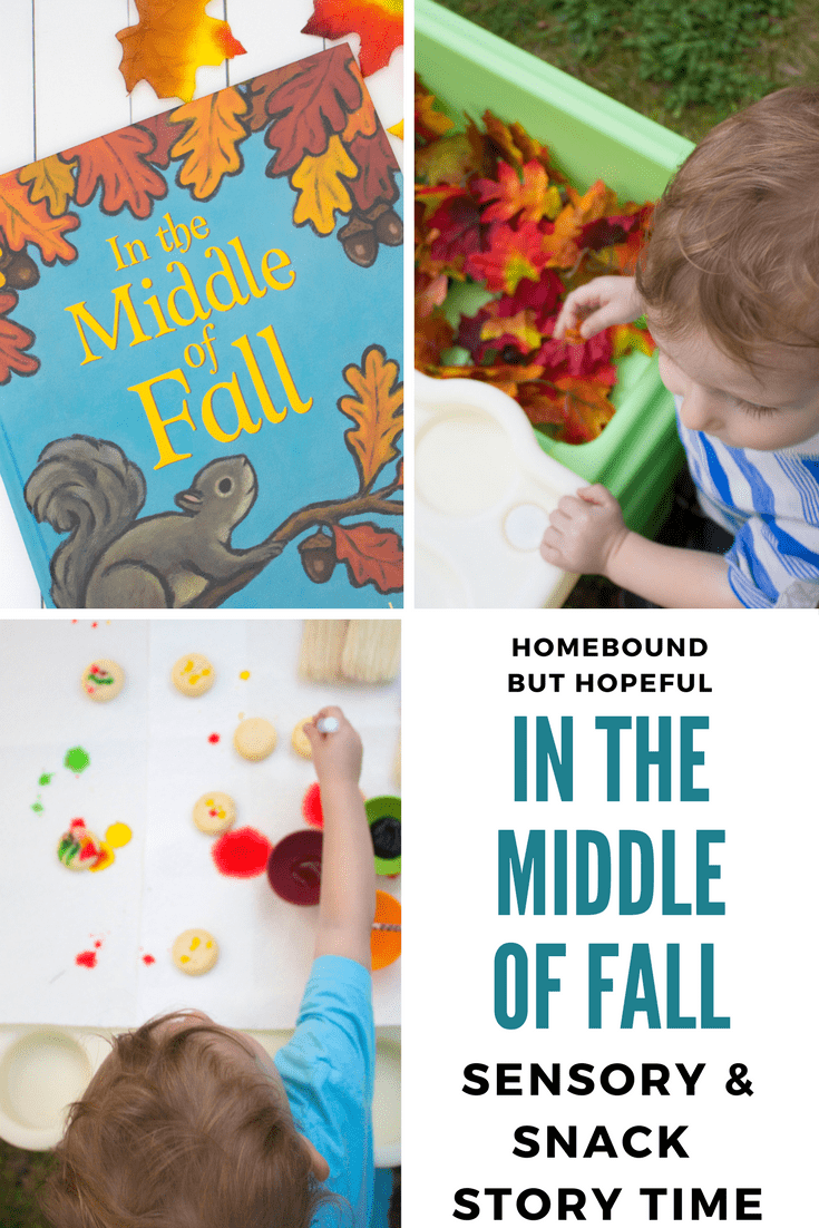 Fall is in the air, making it the perfect time to set up a fall sensory & snack story time for young learners! Check out my fun ideas inspired by Kevin Henkes' "In The Middle Of Fall", as well as the really cool sensory table we've been using lately. Toddlers will love going on an acorn hunt like a hungry squirrel, and decorating an autumn cookie for a special treat! #ad #KevinHenkes #InTheMiddleOfFall #beyondthebook #sensoryplay #storytime #autumnleaves #acornhunt