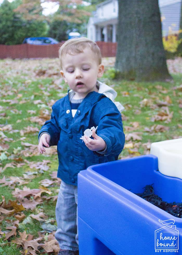 Sensory + Snack Pumpkin Picking Story Time- Sensory Bin