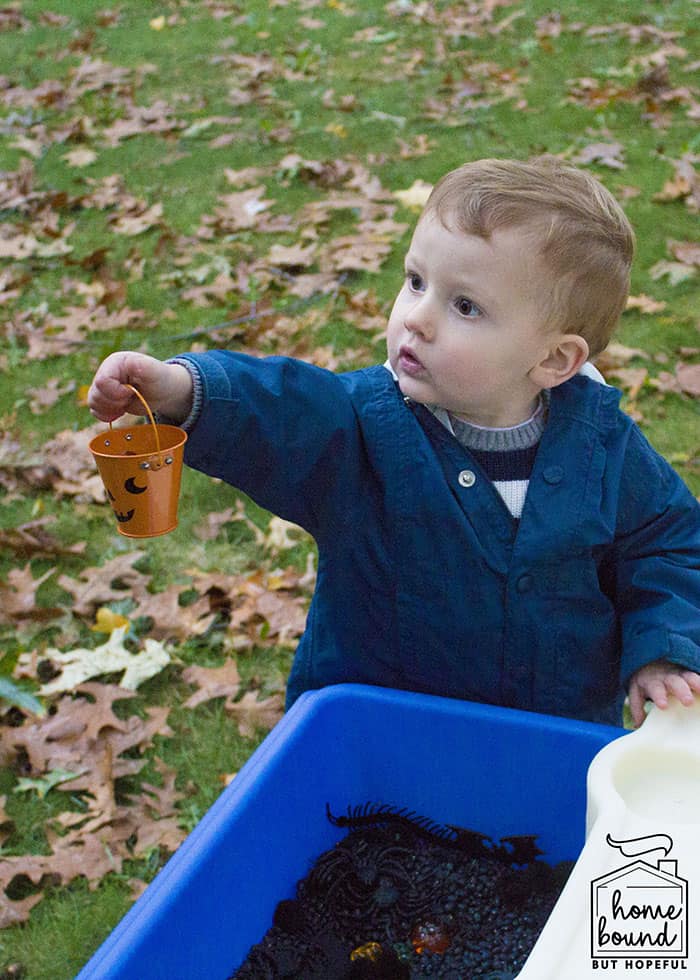 Sensory + Snack Pumpkin Picking Story Time- Sensory Bin