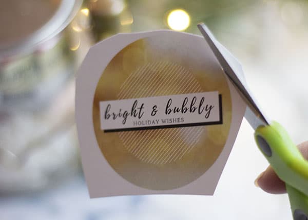 DIY Holiday Gift Baskets- Bright & Bubbly Champagne Gift Set