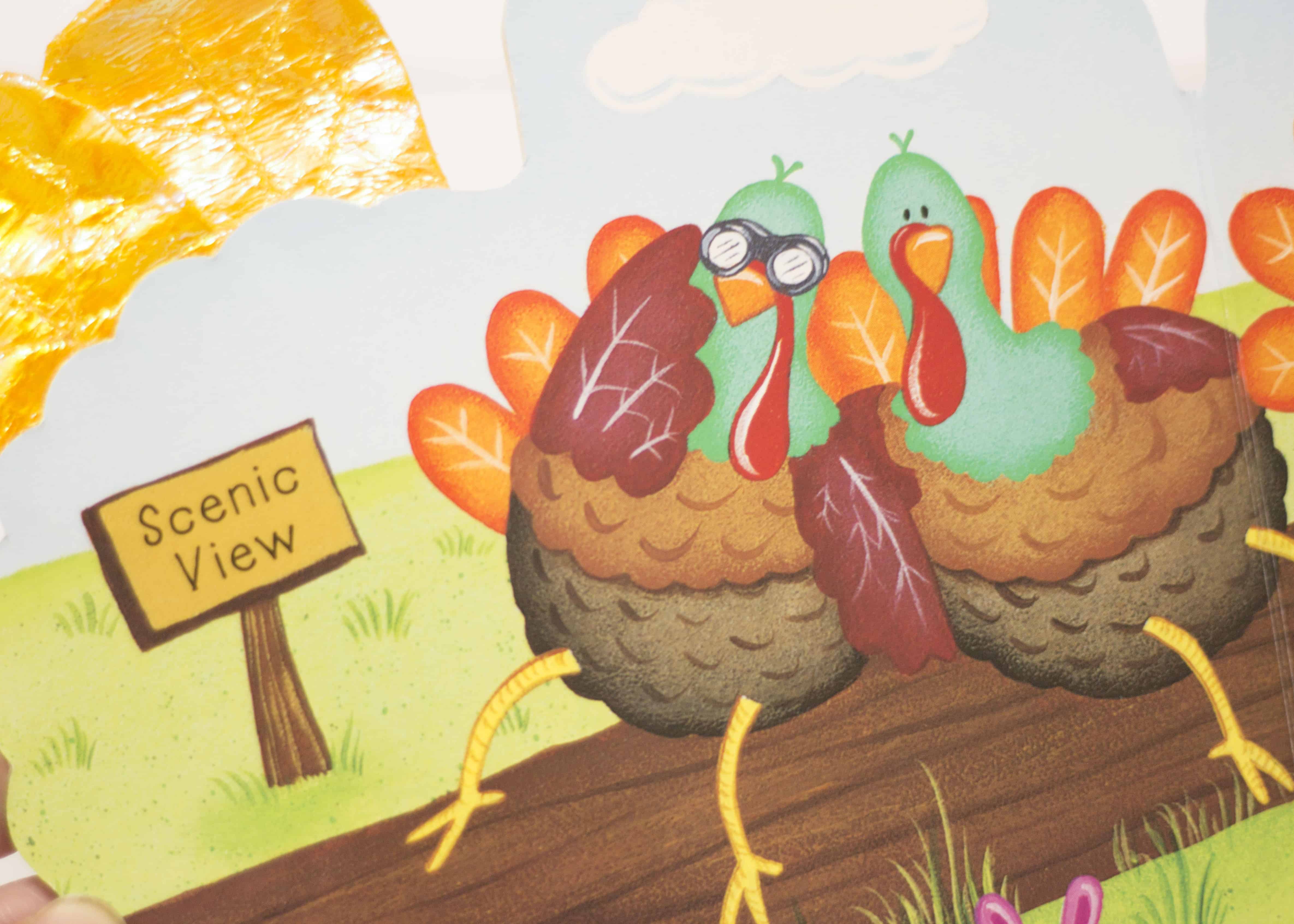 FIVE SILLY TURKEYS PICTURE BOOK