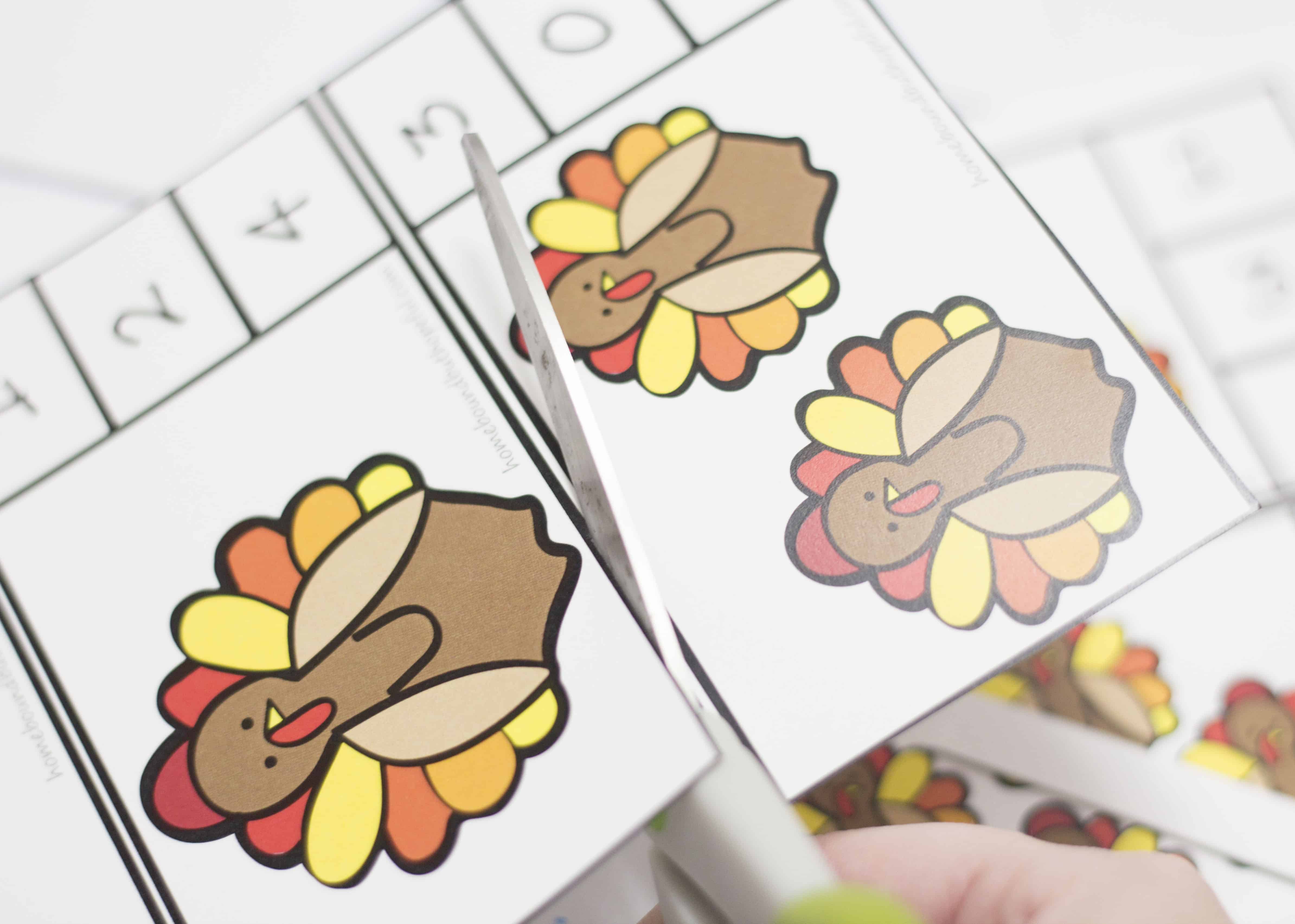 TURKEY CLIP CARDS