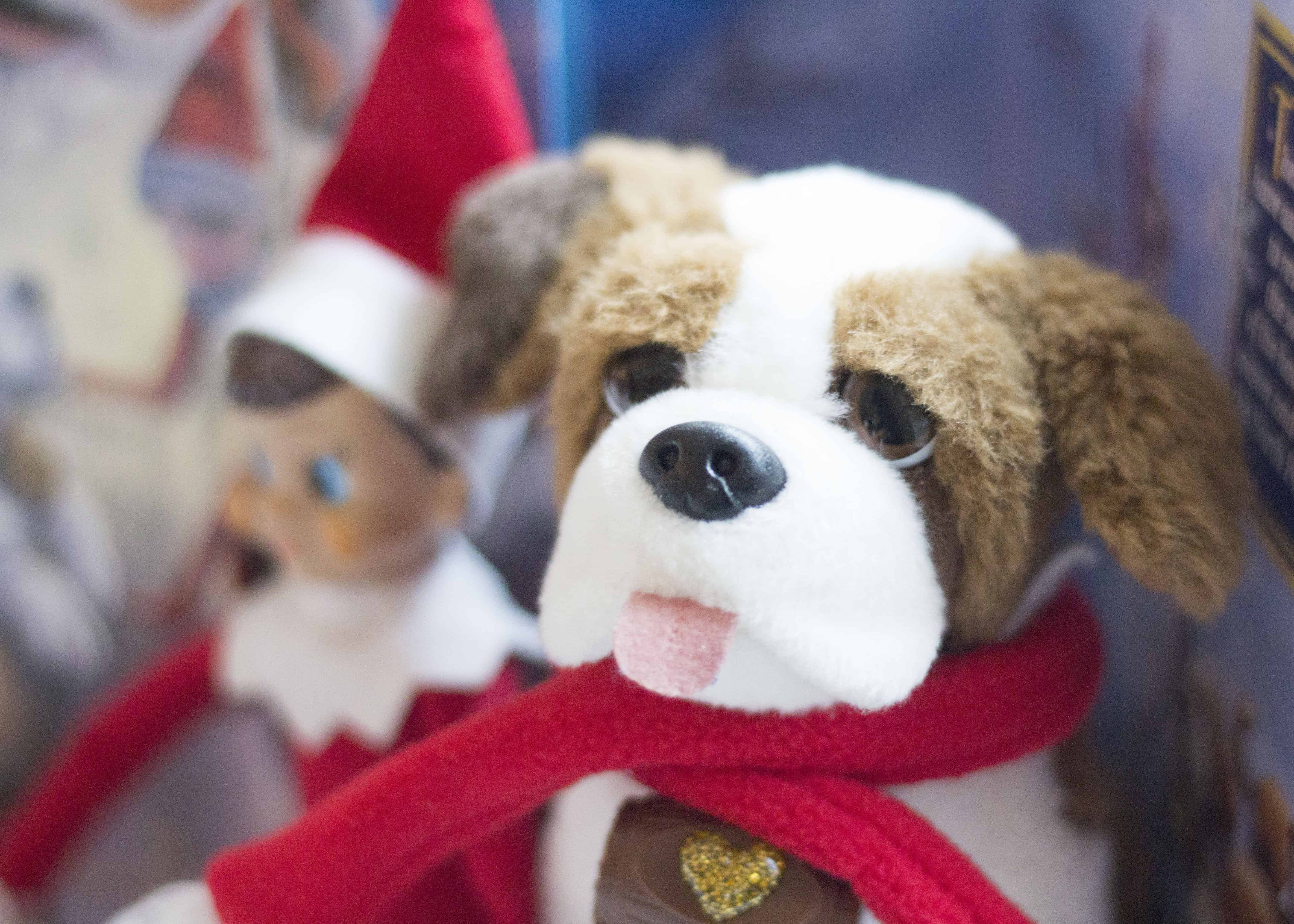 elf on the shelf st bernard