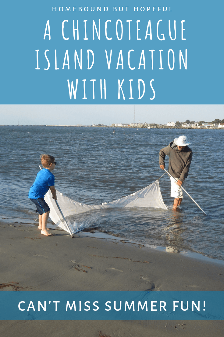 Every summer, we road trip our way to a Chincoteague Island Vacation with the kids. Take a peek at how much fun this little island has to offer, and plan for your own future visit! #summervacation #familyvacation #roadtrip #travelwithkids #familytravel #assateagueisland #summerfun #chincoteagueisland