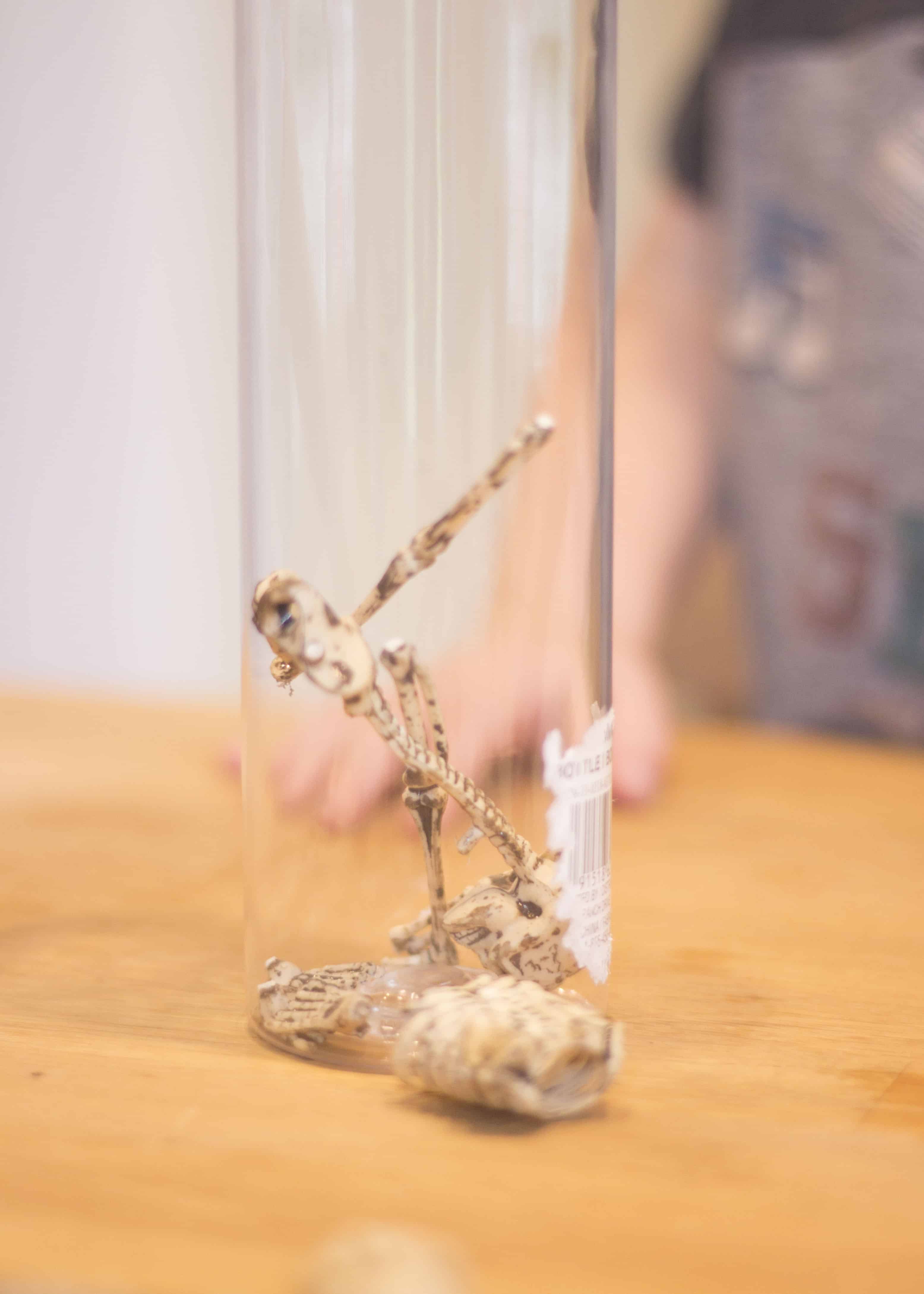 BONES IN SKELETON SENSORY BOTTLE