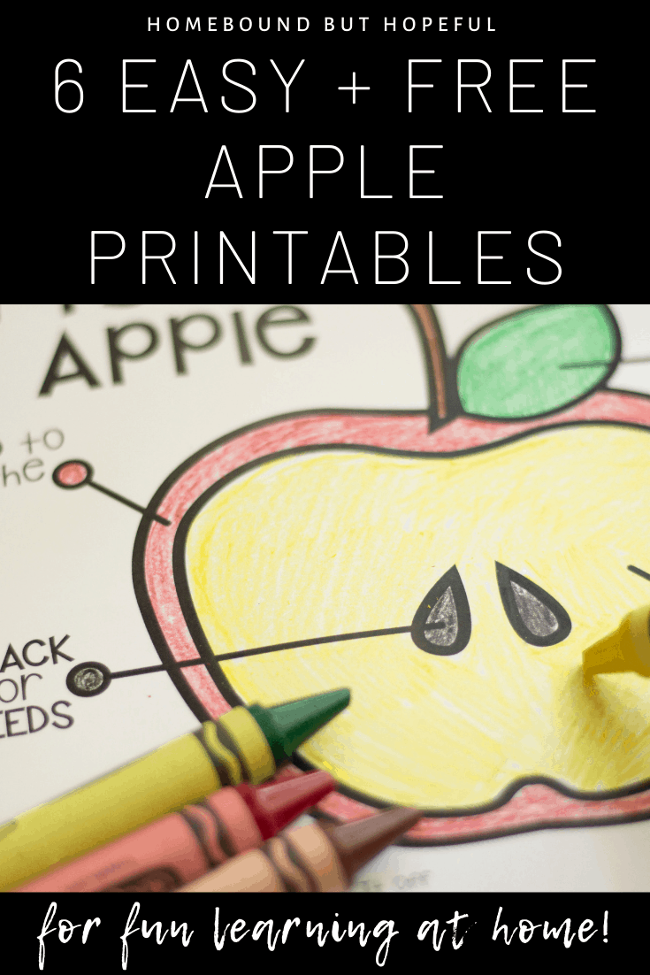 Apple season is upon us! I created these easy and fun printable apple themed pages to supplement what my son was learning about the fruit in preschool. They're perfect for fun learning at home. Enjoy! #preschool #prekindergarten #earlylearning #homeschool #appleseaon