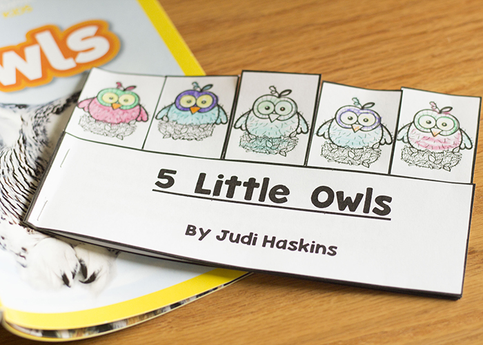 5 LITTLE OWLS BOOK