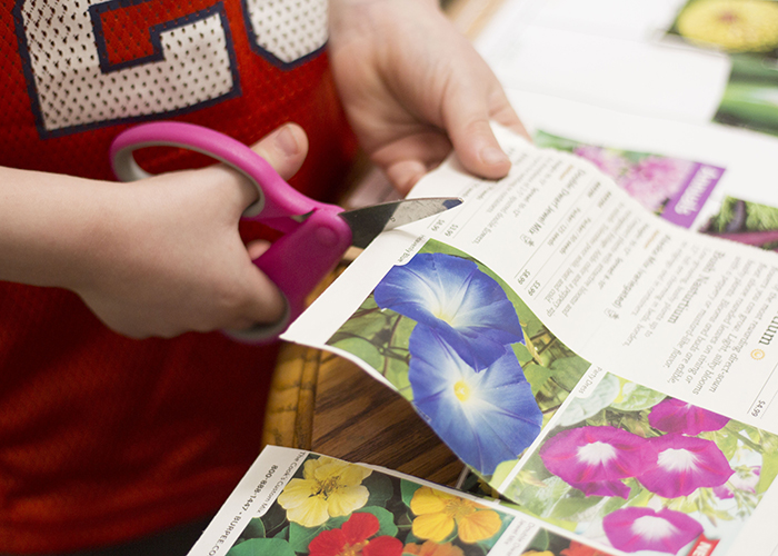 CUTTING FLOWERS