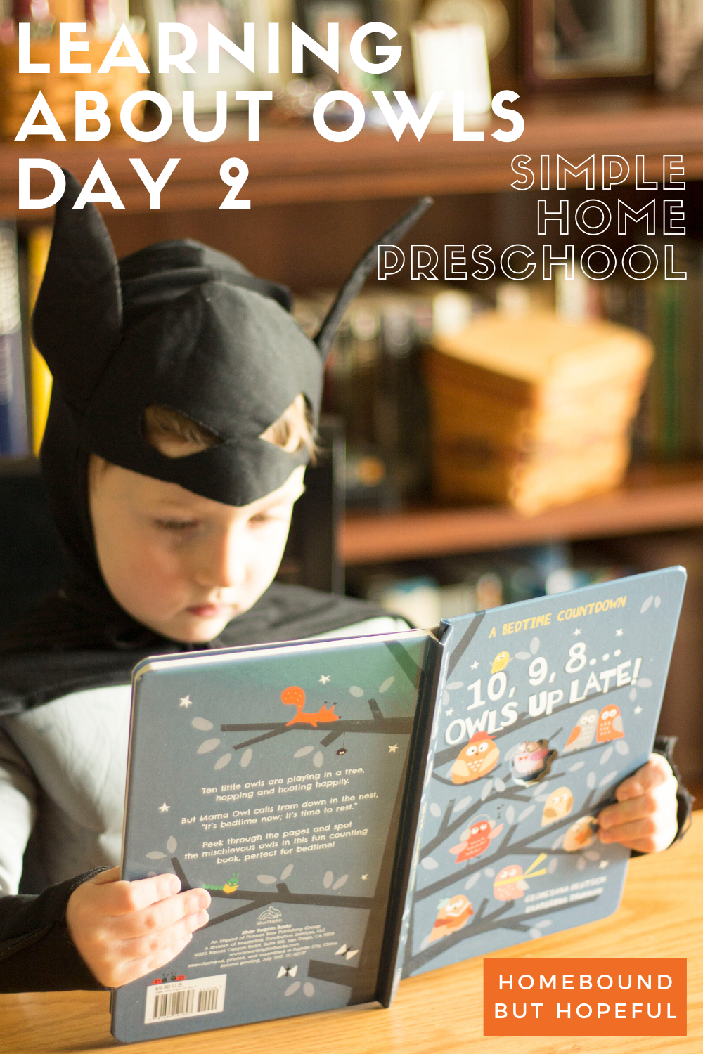 Day 2 of learning all about owls in our home preschool brought coloring, counting, and more! Check it out on the blog! #homeschool #homepreschool #homeeducation