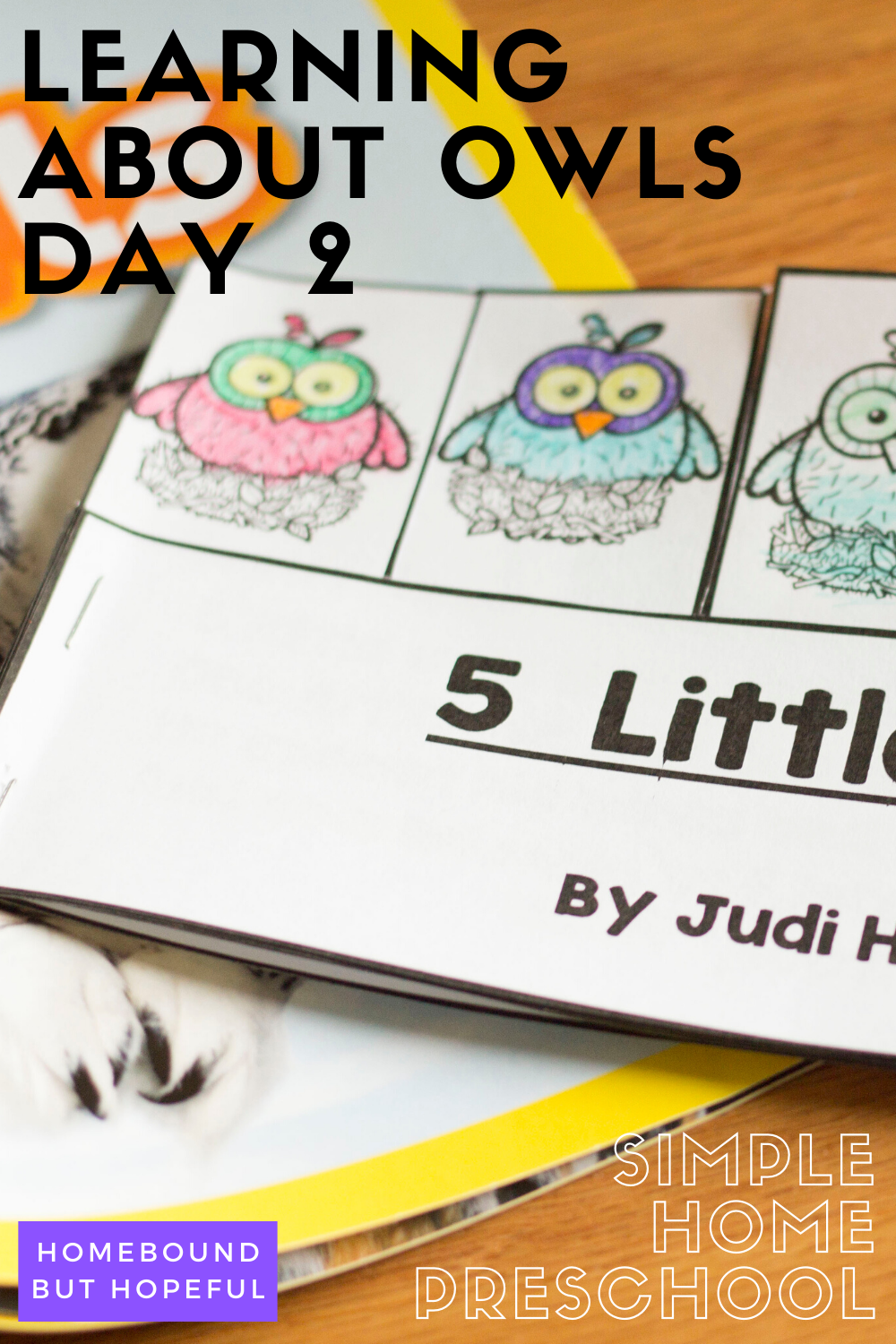 Day 2 of learning all about owls in our home preschool brought coloring, counting, and more! Check it out on the blog! #homeschool #homepreschool #homeeducation