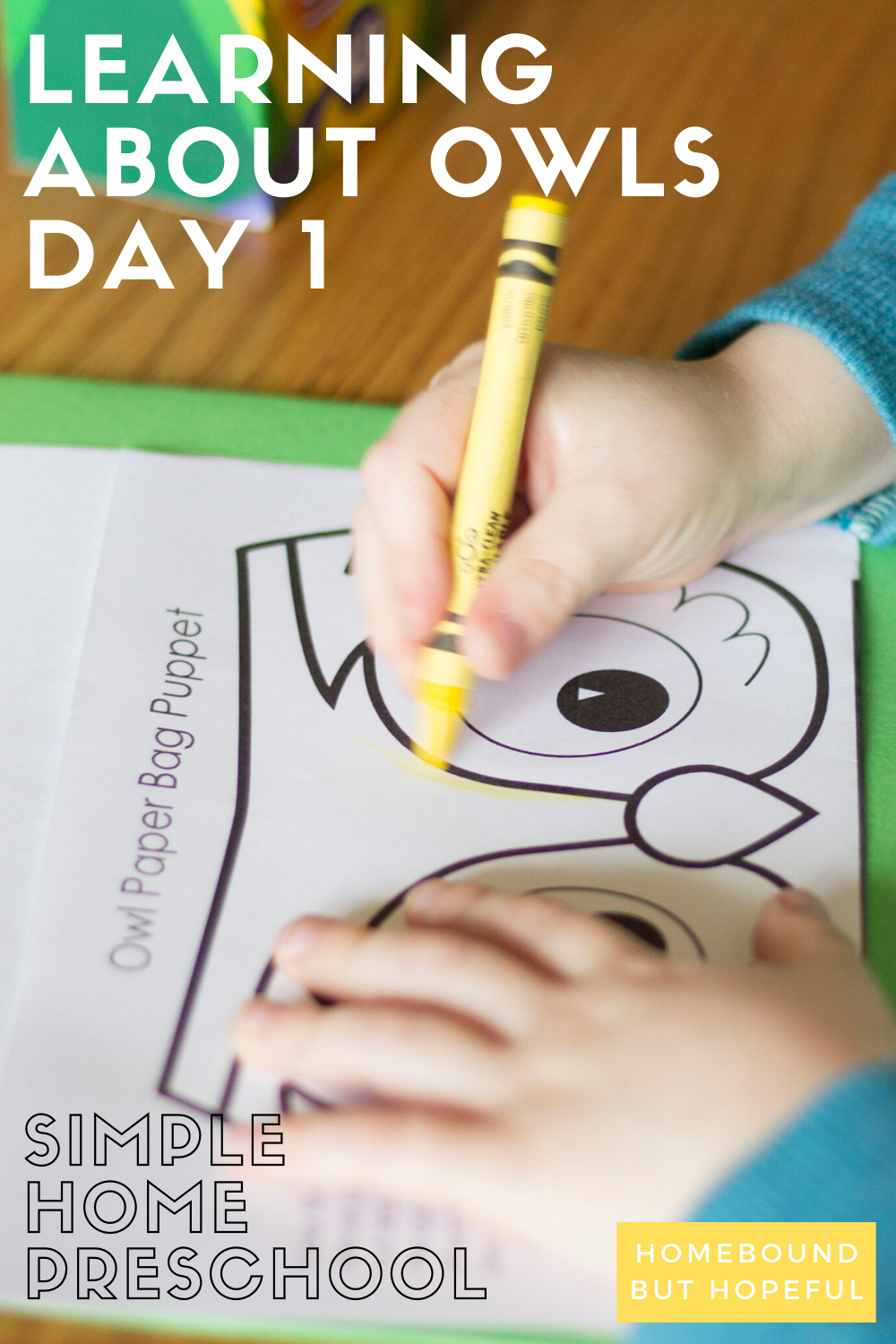 This week the kids and I are learning about owls in our simple home preschool. Check out the fun we had on Day 1! #homepreschool #prekindergarten #earlylearning 