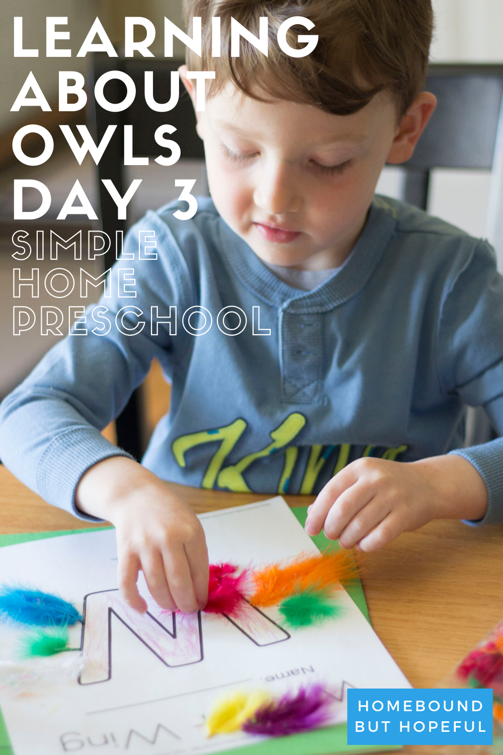 We're sharing all the fun we had discovering the parts of an owl during Day 3 of our home preschool week! Whoooo wants to see?! #homepreschool #totschool #earlylearning
