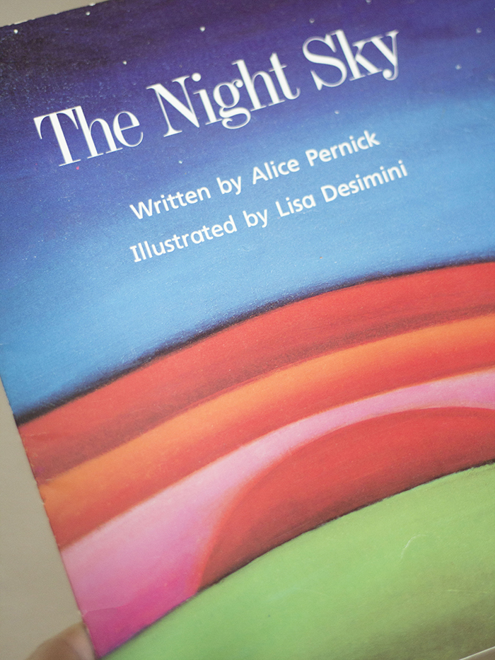 THE NIGHT SKY BOOK