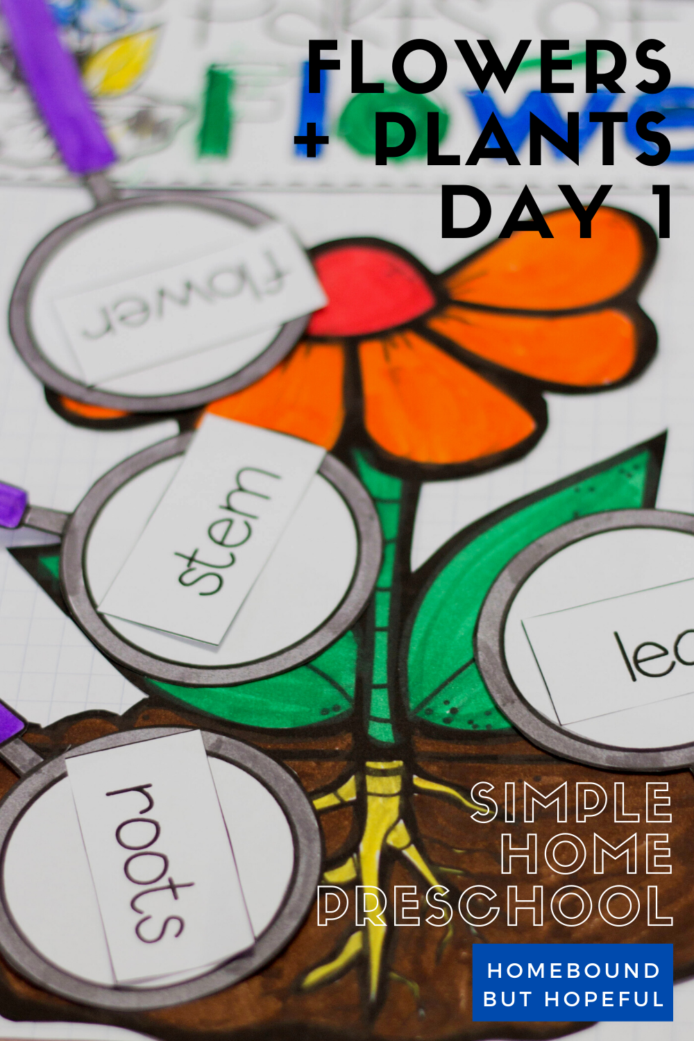 With spring and summer around us, it's time to start learning about flowers, plants, and seeds at our home preschool. Check out all of our Day 1 fun! #preschooler #preschool #preschoolactivities #preschoolideas #homeschool #stayhomesavelives #stayhomestaysafe