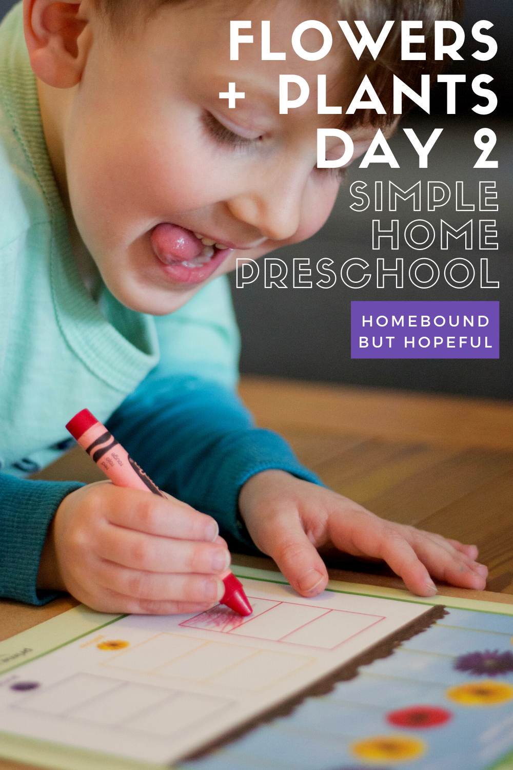 Learning about plants in home preschool provides lots of opportunities for math, science, and more. Check out how Day 2 of our flowers, plants, and seeds week went. #homepreschool #totschool #homeschool #homeschoollife #homeschoolmom