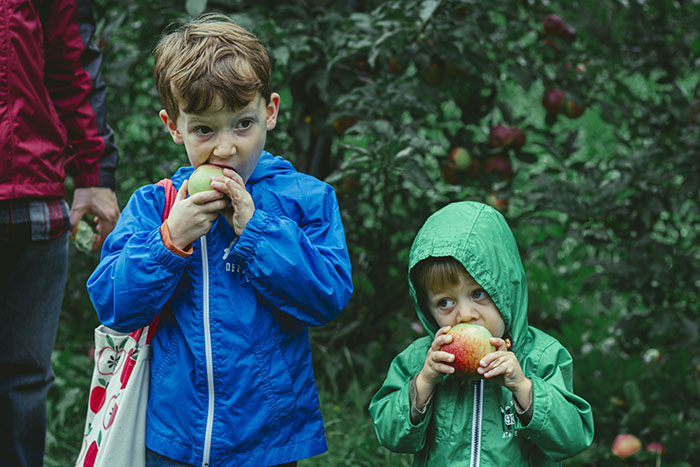 boys with apples