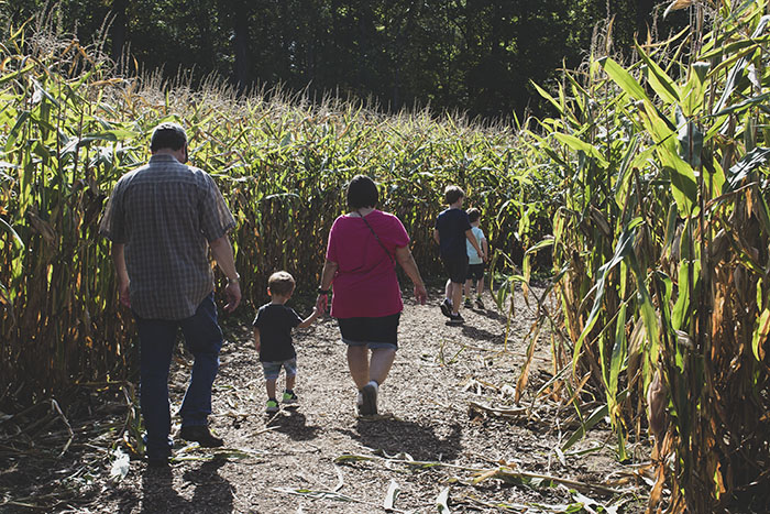 family in corn