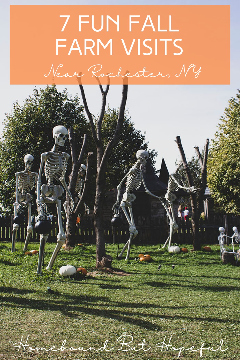 Stay busy this autumn with 7 fun fall farm visits near Rochester NY!