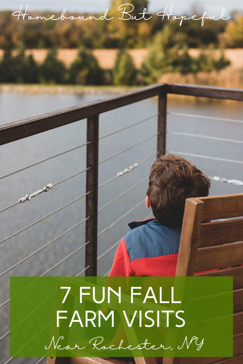 Stay busy this autumn with 7 fun fall farm visits near Rochester NY!