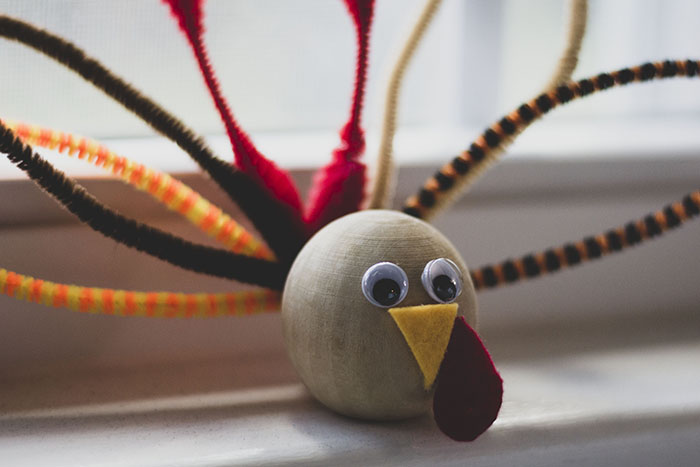 THE VERY STUFFED TURKEY PROJECT