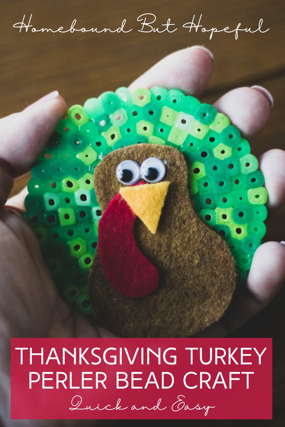 You don't want to miss this super cute and super easy perler bead turkey craft this November!
