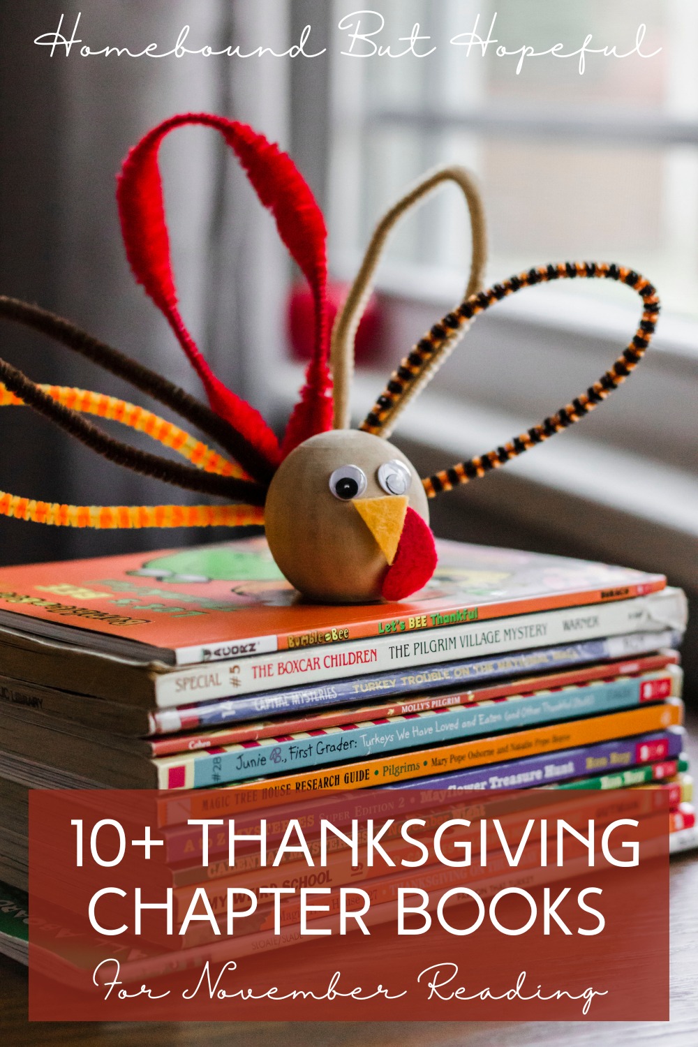 If your kids are ready for read alouds beyond picture books this November, don't miss my list of 10+ great Thanksgiving chapter books!