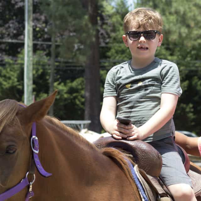 Can't Miss Summer Fun On Your Chincoteague Island Vacation