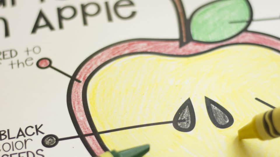 6 Easy + Free Apple Printables For Playful Learning At Home