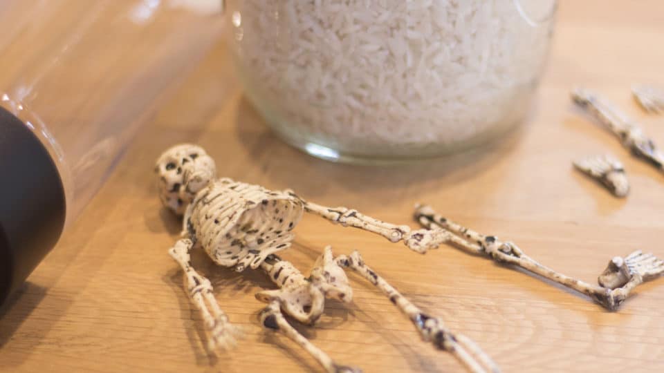 Silly + Super Spooky Skeleton Sensory Bottle For Halloween Fun