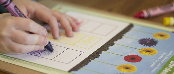 Learning About Plants: Day 2 (Easy Preschool At Home)